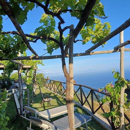 Residence Pizzo Corvo فوروري المظهر الخارجي الصورة