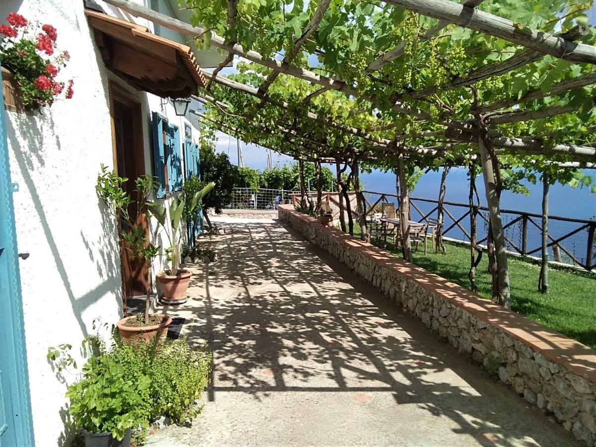 Residence Pizzo Corvo فوروري المظهر الخارجي الصورة