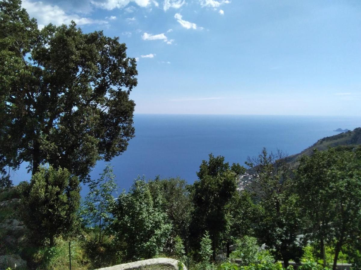 Residence Pizzo Corvo فوروري المظهر الخارجي الصورة